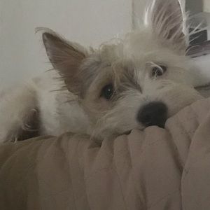 Meet your Posher, Miguel